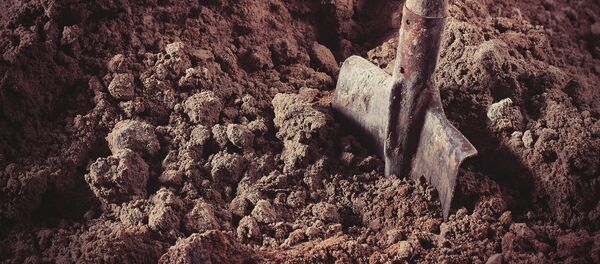 une pelle - Sputnik Afrique