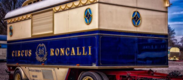 цирк - Sputnik Afrique