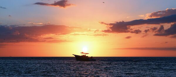 Le golfe du Mexique - Sputnik Afrique