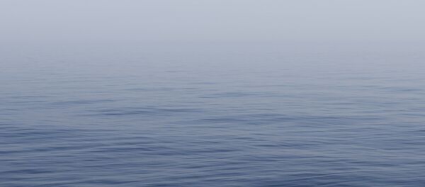 Eau - Sputnik Afrique