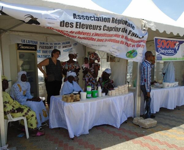 Le stand d’exposition-vente de l’Association régionale des éleveurs caprins de Fatick (ARECAF) à Dakar, lors de la célébration de la Journée mondiale du lait, le 1er juin 2019. Le stand d’exposition-vente de l’Association régionale des éleveurs caprins de Fatick (ARECAF) à Dakar, lors de la célébration de la Journée mondiale du lait, le 1er juin 2019. - Sputnik Afrique