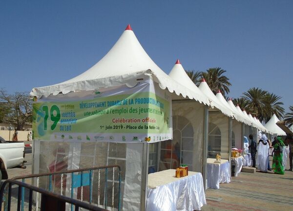 Vue de stands d’exposition-vente de produits laitiers, à Dakar, lors de la célébration de la Journée mondiale du lait, le 1er juin 2019. Vue de stands d’exposition-vente de produits laitiers, à Dakar, lors de la célébration de la Journée mondiale du lait, le 1er juin 2019. - Sputnik Afrique