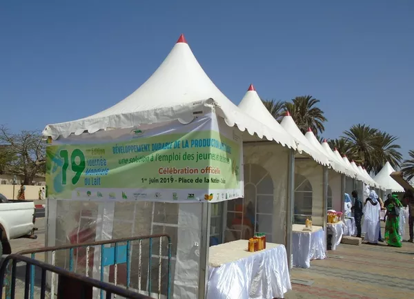 Vue de stands d’exposition-vente de produits laitiers, à Dakar, lors de la célébration de la Journée mondiale du lait, le 1er juin 2019. Vue de stands d’exposition-vente de produits laitiers, à Dakar, lors de la célébration de la Journée mondiale du lait, le 1er juin 2019. - Sputnik Afrique