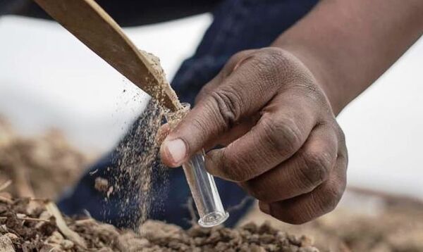 Fernandino Eloko, le promoteur du bio en Guinée équatoriale Fernandino Eloko, le promoteur du bio en Guinée équatoriale - Sputnik Afrique