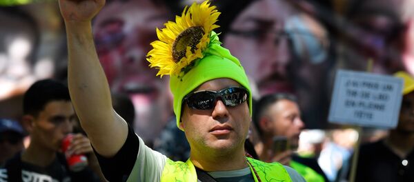 Un Gilet jaune (image d'illustration) - Sputnik Afrique