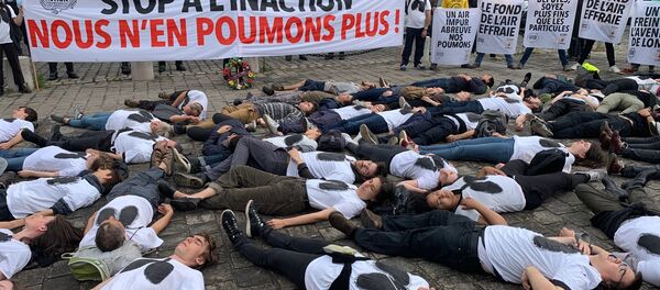 Des militants écologistes devant l’Assemblée nationale contre la loi LOM - Sputnik Afrique