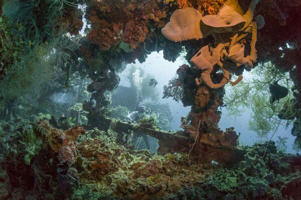 Le tristement célèbre lagon de Truk, en Micronésie. Ses eaux cristallines sont les gardiennes d’un des plus grands cimetières de matériel militaire au monde.
Sur la photo: le tanker japonais Shinkoku Maru coulé le 18 avril 1944. 
 - Sputnik Afrique