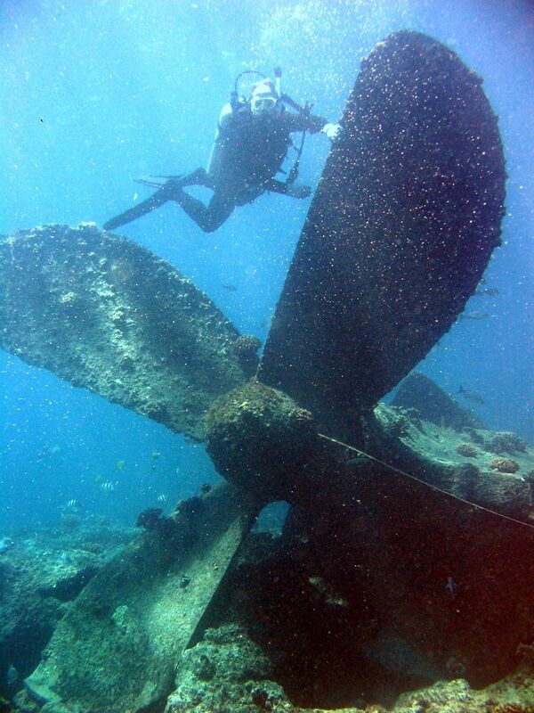 Plongeur descendant vers l’épave d’un navire gisant près de l’atoll de Pearl et Hermes dans les îles Hawaï. - Sputnik Afrique