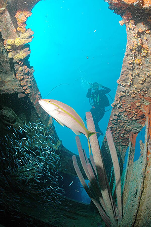 Le cargo Hilma Hooker gît par 30 mètres de fond non loin de l’île Bonnaire, dans les Petites Antilles. - Sputnik Afrique