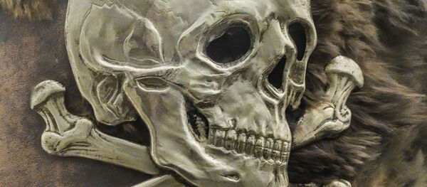 Une tête de mort - Sputnik Afrique