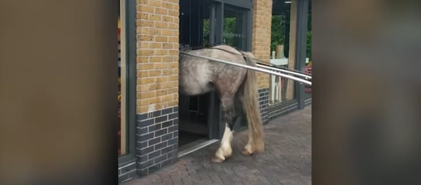 Un cheval tente d'entrer dans un McDonald's mais tout tourne mal - Sputnik Afrique