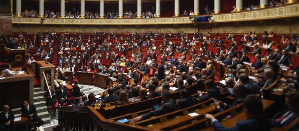 Assemblée nationale française - Sputnik Afrique