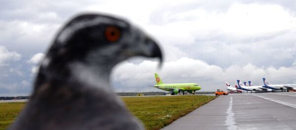 Avion Avion - Sputnik Afrique