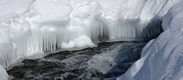 Polynie - Sputnik Afrique