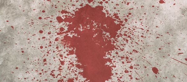 sang sang - Sputnik Afrique