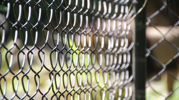 Une cellule  - Sputnik Afrique