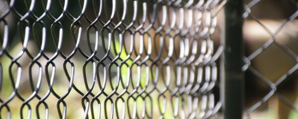 Une cellule  - Sputnik Afrique