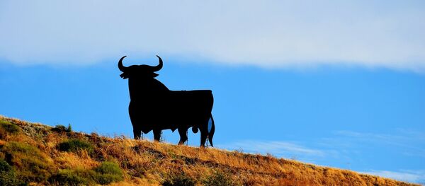 Un taureau - Sputnik Afrique