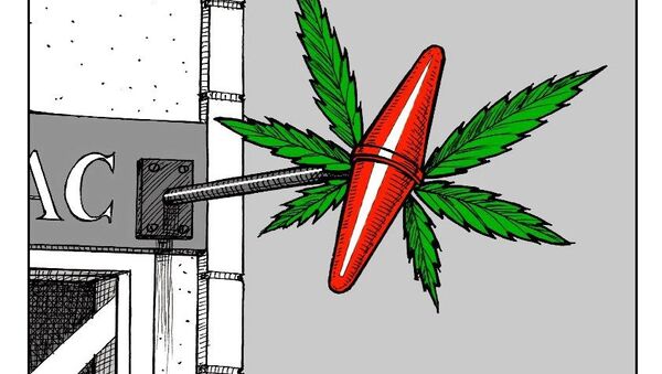 Cannabis récréatif: la question de sa légalisation de nouveau au cœur des débats - Sputnik Afrique