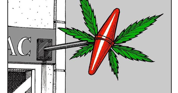 Cannabis récréatif: la question de sa légalisation de nouveau au cœur des débats - Sputnik Afrique