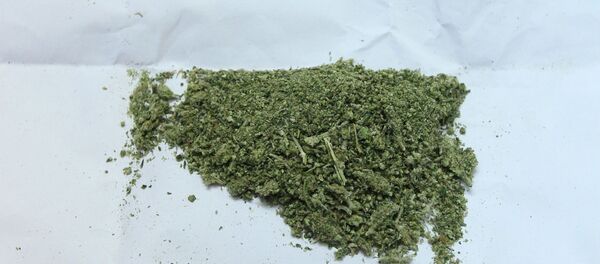 De la marijuana - Sputnik Afrique