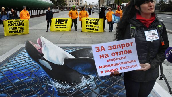 Manifestation contre la «Prison aux baleines»  - Sputnik Afrique