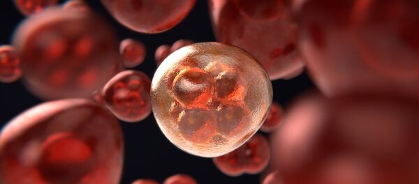 Клетки - Sputnik Afrique