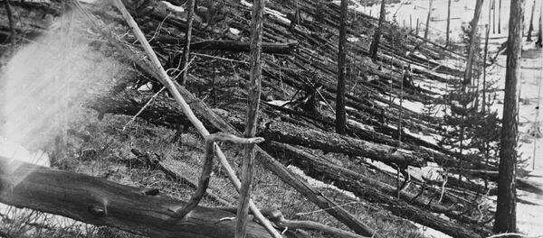 Forêt brûlée dans la région où a explosé la météorite de la Toungouska - Sputnik Afrique