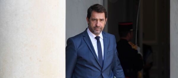 Christophe Castaner   - Sputnik Afrique