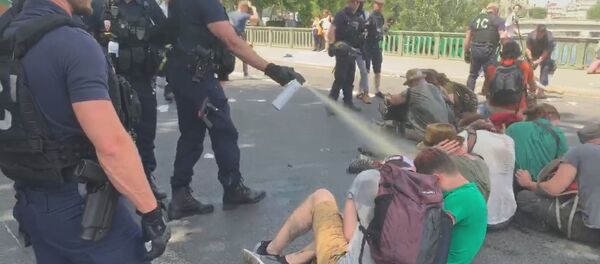 Les FDO emploient du gaz contre le militans d'Extinction Rebellion - Sputnik Afrique