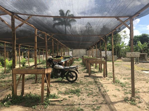 Les civils vénézuéliens apprennent les «tactiques de résistance révolutionnaire» - photos - Sputnik Afrique