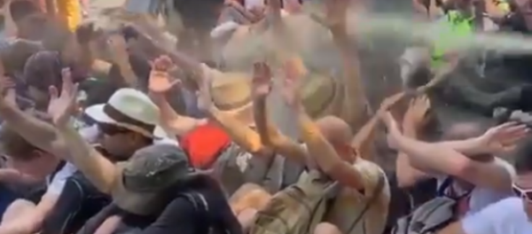 Militants écologistes gazés au pont de Sully  - Sputnik Afrique