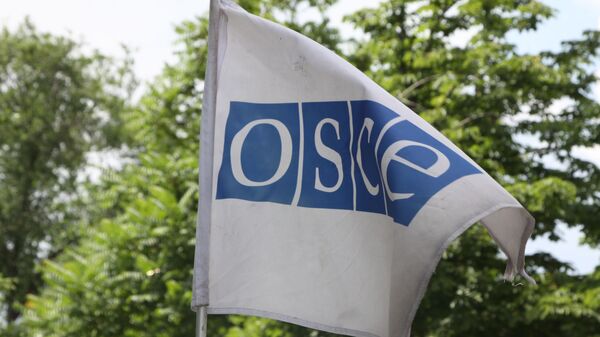 Un drapeau de l'OSCE - Sputnik Afrique
