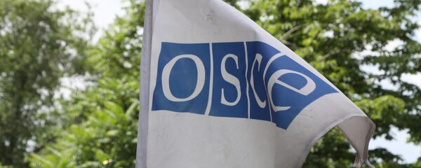Un drapeau de l'OSCE - Sputnik Afrique