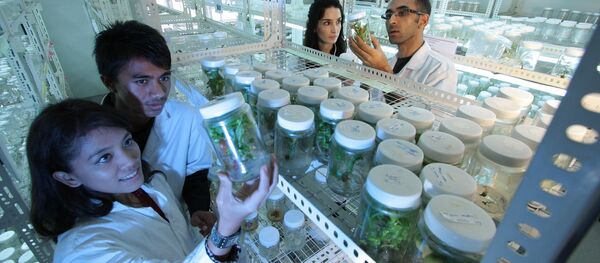 Des scientifiques - Sputnik Afrique