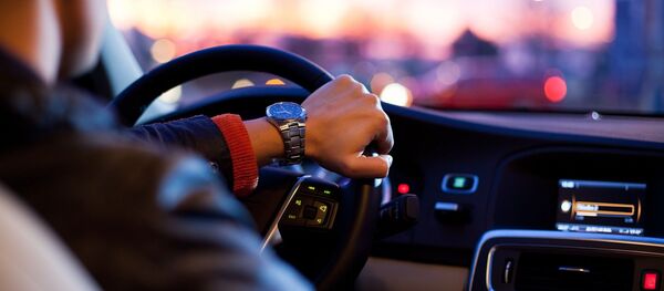 au volant d'une voiture  - Sputnik Afrique