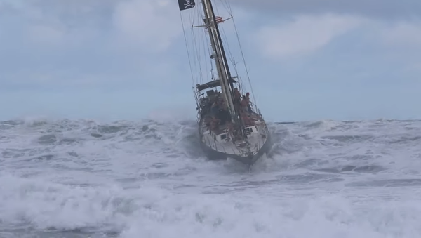 À Hawaii, même les bateaux peuvent surfer - Sputnik Afrique