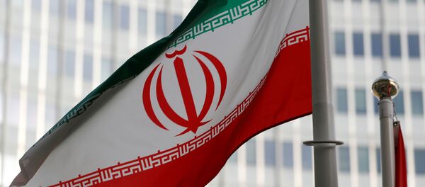 Le drapeau iranien  - Sputnik Afrique