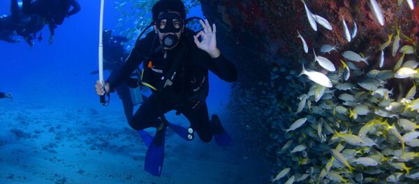 Un plongeur (image d'illustration) - Sputnik Afrique