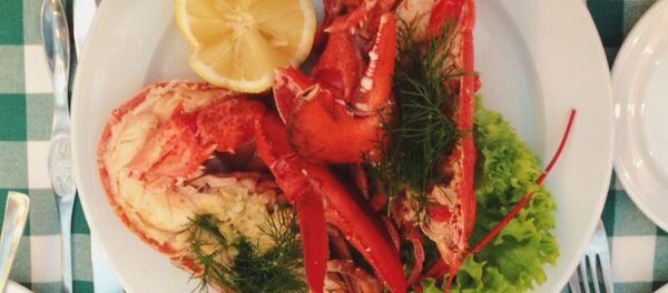 Un homard (image d'illustration) - Sputnik Afrique