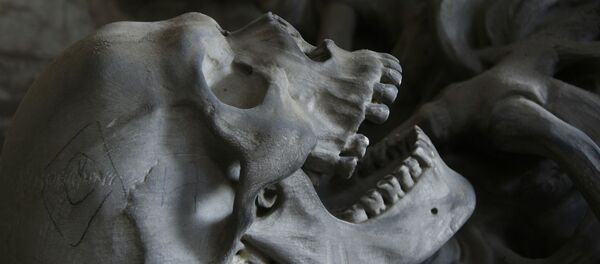 Череп - Sputnik Afrique
