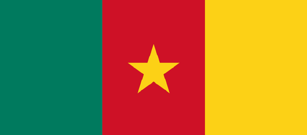 Drapeau Cameroun - Sputnik Afrique