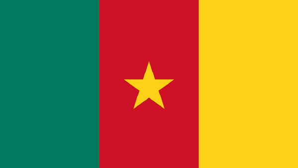 Drapeau Cameroun - Sputnik Afrique