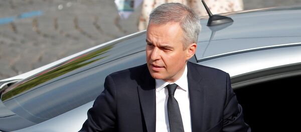 Francois de Rugy - Sputnik Afrique