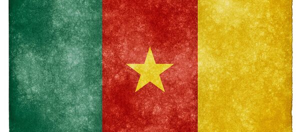 Drapeau du Camerou - Sputnik Afrique