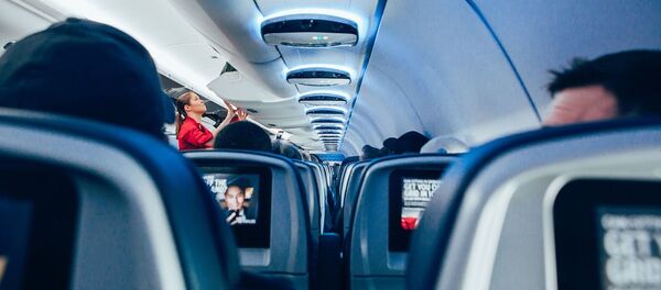 Cabine d'avion de ligne - Sputnik Afrique