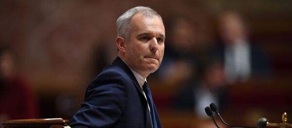 François de Rugy à l'Assemblée nationale (archive photo) - Sputnik Afrique