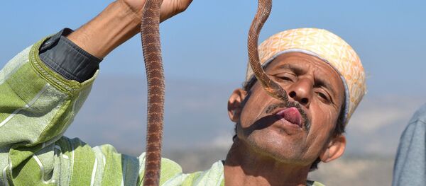 l'homme avec le serpent - Sputnik Afrique