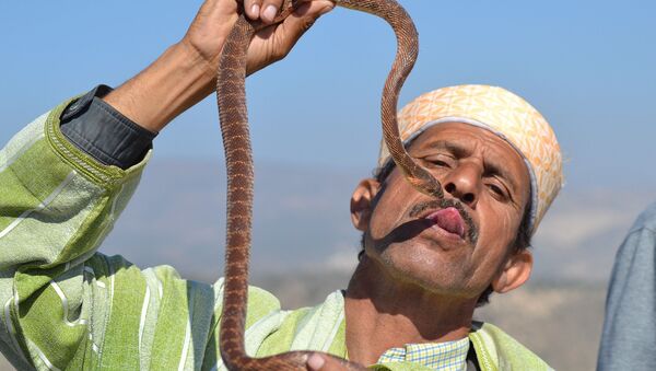 l'homme avec le serpent - Sputnik Afrique