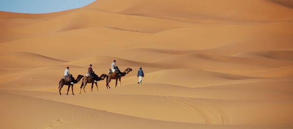 Маroc - Sputnik Afrique